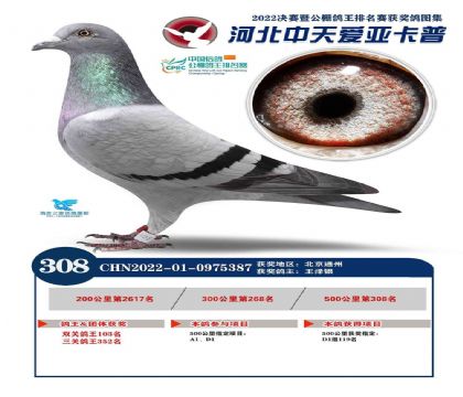 �ӱ������(��i)������ِ������500����Qِ308��  ��	