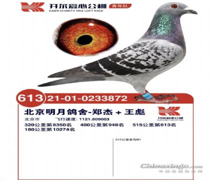 ��ɽ�����񽱸�