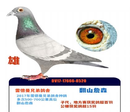 �¹�ԭ������������