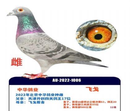 �л���ҵ�ɸ�