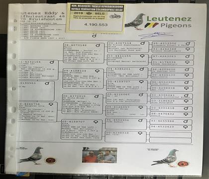 ԭ��Ѫ�y(t��ng)���S���l(f��)��