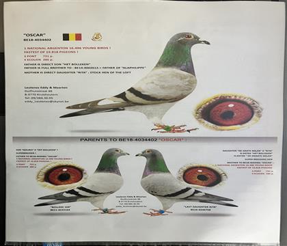 Ѫ�y(t��ng)������