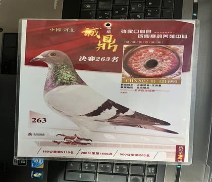 �@��(ji��ng)?w��)�Ƭ�S���l(f��)��