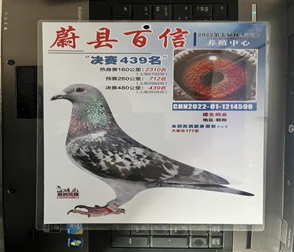 �@��(ji��ng)?w��)�Ƭ�S���l(f��)��