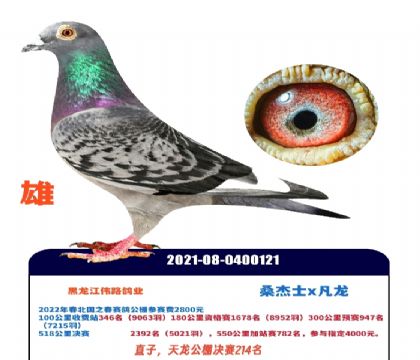 ������ΰ·��ҵ