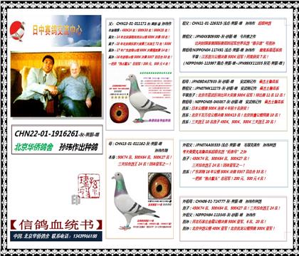 1059097ĸ��Ѫͳ��