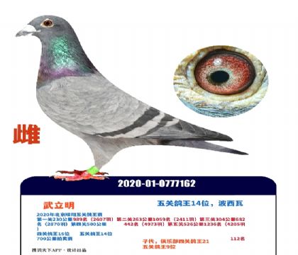 ��ظ���14λ