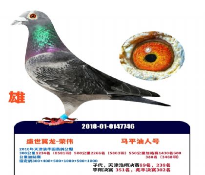 ��ƽ-���˺�