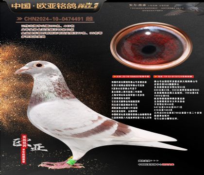 ��������ȫ����܊̩ɽ̖(h��o)���ؽ��H357X133