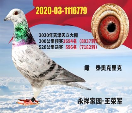 ����������ｱ��