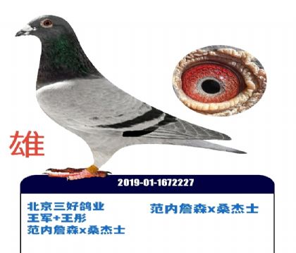 �������ø�ҵ