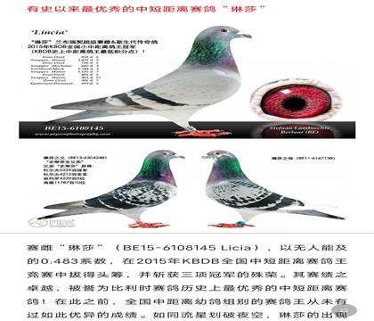 ȫ��.��ɯ�͸�ĸ