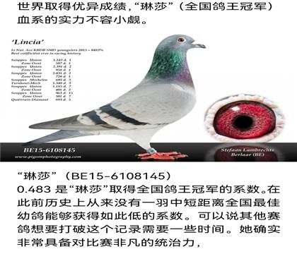 ��ĸƽ��.��ɯ