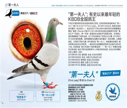 ��ĸ.��һ����