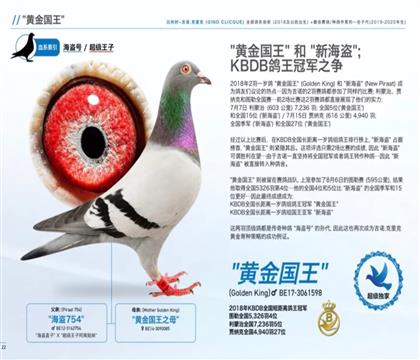 �游�����游.�ƽ����