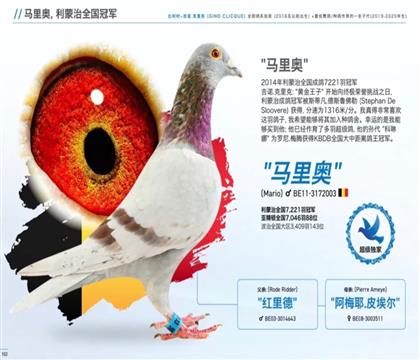 ���游.�����