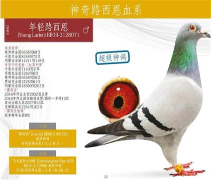 ���游.����·����