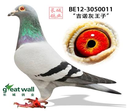 ��.������