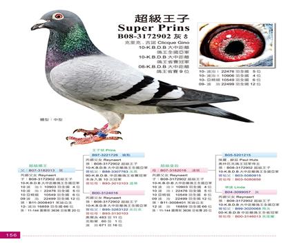 �游.��������