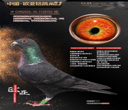 �W��7-5-1120703