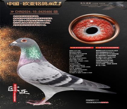 �W��7-6-0425466