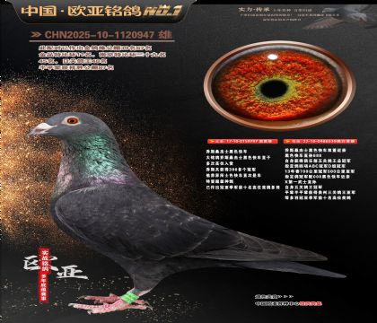 �W��7-8-1120947