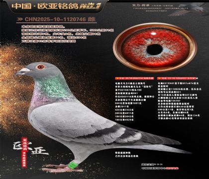 �W��8-9-1120746