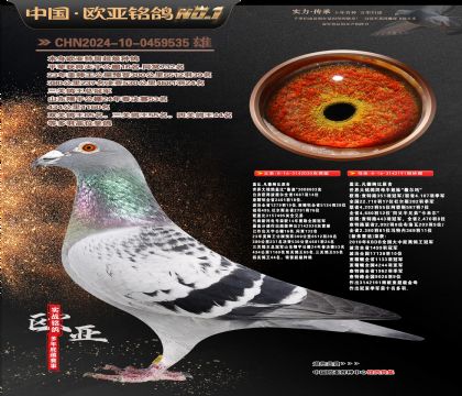 �W��8-14-0459535