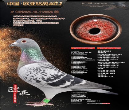 �W��10-11-1120926