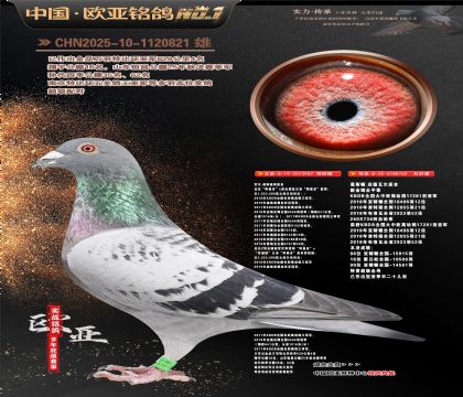 �W��10-12-1120821