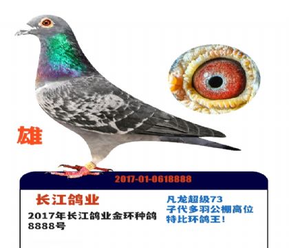 ������ҵ��