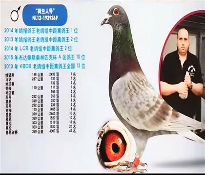 �����˺�