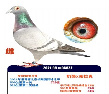 ���籭������������