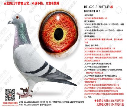 ��������š�ֱ��