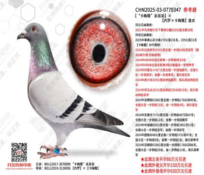 ����÷¡���׵ܵܡ������ޡ���÷¡��ֱŮ