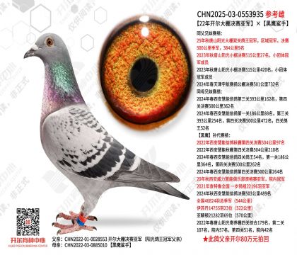 22�꿪����������Ǿ�����ӥ����