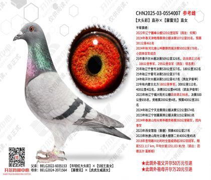 ��ͷ��ֱ������׿�ֱŮ