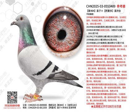 ��484ֱ�ӡ�������ֱ��Ů