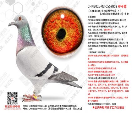 23����ɽ�����Ĺ��ۺ�96��20�꿪���������15ֱŮ