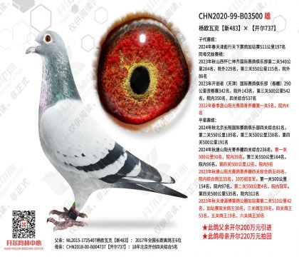 ��ŷ�߿���483������737