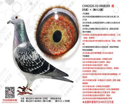 �������֮��