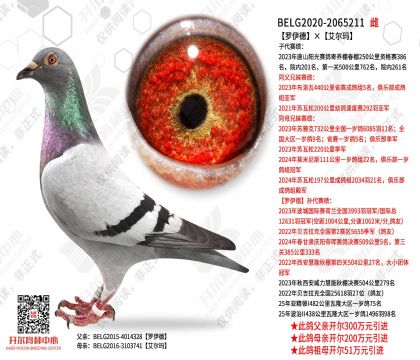 �����¡�������