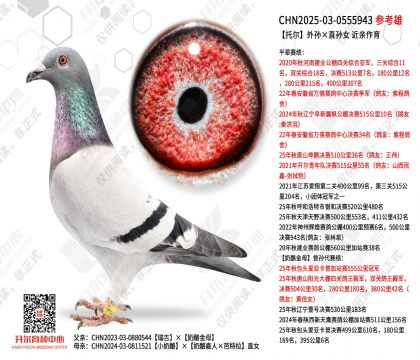 ���ж��������ֱ��Ů  ��������