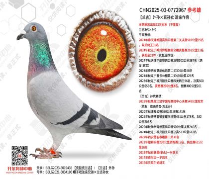 �������������ֱ��Ů ��������