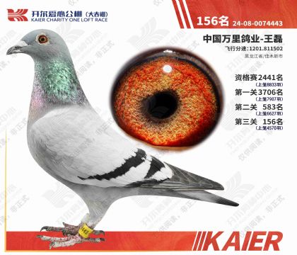 �������Ĺ���������156�����Ƹ룩