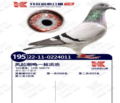 22���￪���������195�����Ƹ룩