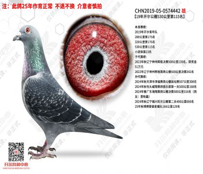 ��������Ӿ���115��