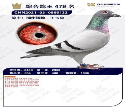 21�꿪�����ֲ��ۺϸ���479�����۸룩