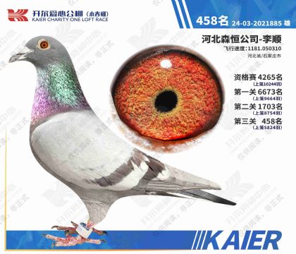 �������Ĺ���С�������458�����۸룩