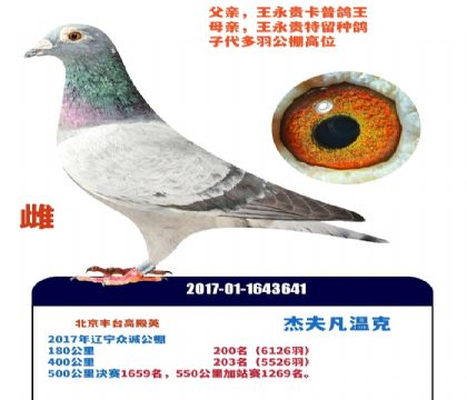 ������Ƹ�